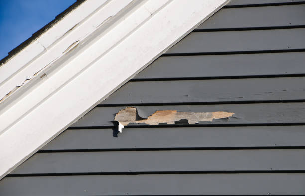 Affordable Siding Repair and Maintenance Services in Rockford, MN